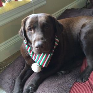 Meet your Posher, Krista